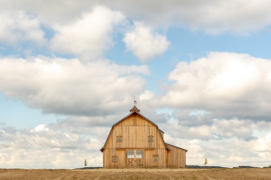 “Henpecked Husband Farms” Framed Photo