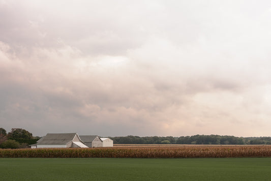 “Three Barns” by Mike McLaughlin