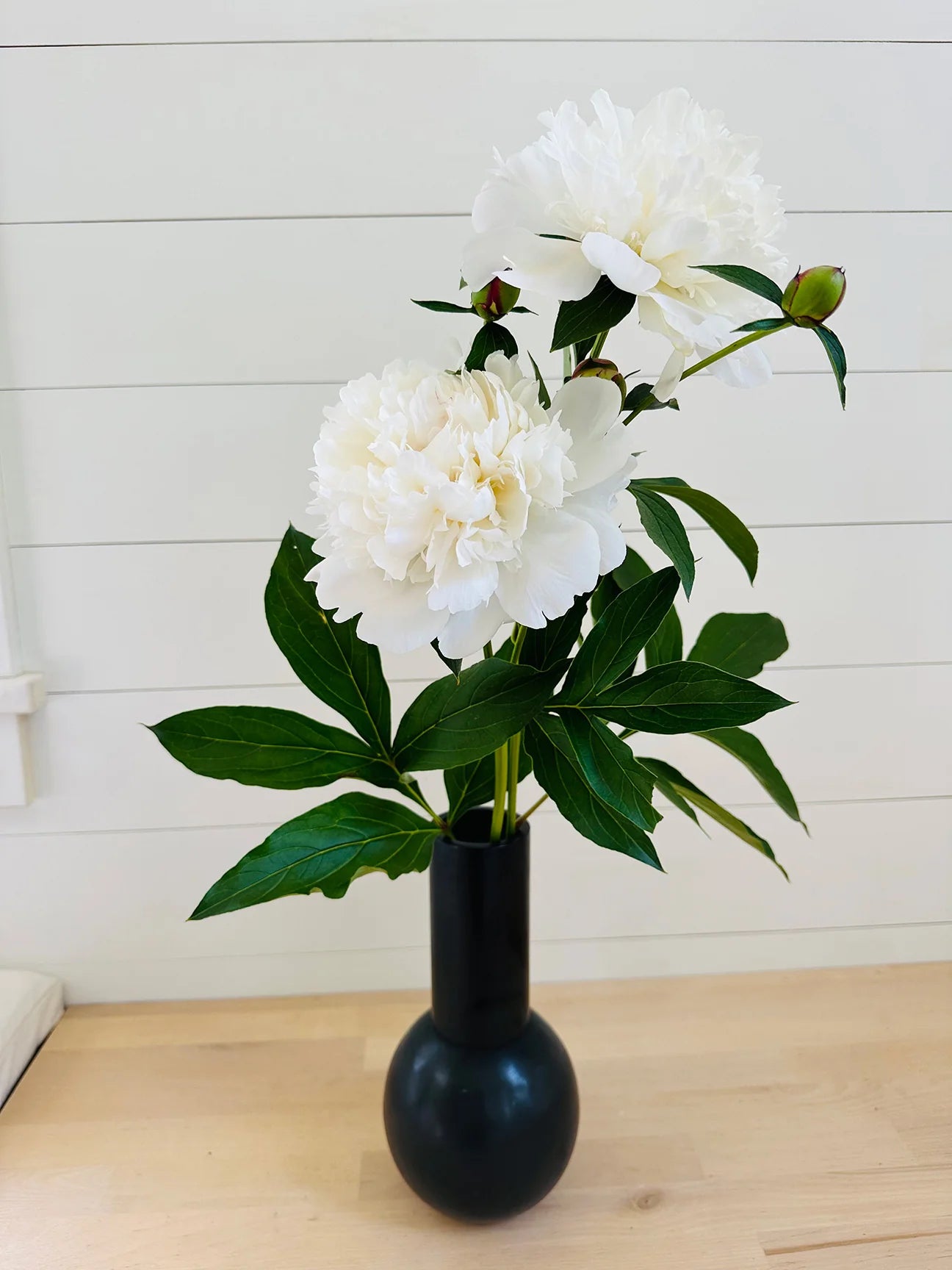 Black Soapstone Lolita Vase